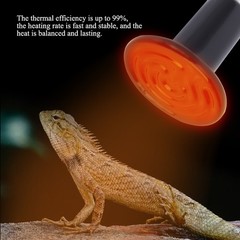 E27 Reptile Animal Ceramic Heating Lamp Infrared Pet Heat Light Lamp -240V