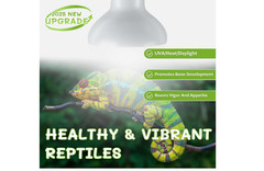 100W Reptile Heat Lamp UVA UVB Full Spectrum Basking Sun Bulb