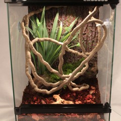 Terrarium Reptile Flexible Jungle Vines Flexible Bendable Decoration Accessories