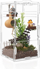 8x4x4in Vertical Acrylic Jumping Spider Enclosure – Arboreal Tarantula & Reptile