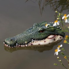 Realistic Floating Alligator Head Decoy for Ponds & Pools – Premium Quality Croc