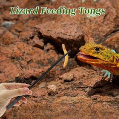 Reptile Feeding Tongs, Stainless Steel Lizard Feeding Tongs, Aquarium Straigh…