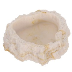 Reptile Feeder Bowl Chameleon Water Bearded Dragon Tank Accessories