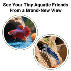 90 Corner 5.3×5.3×2.8 Inch Fish Cave Viewing Tunnel Hideout For Aquarium