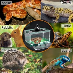Large Reptile Tank for Snakes, Lizards & Frogs – Sliding Screen Top Habitat 21.6
