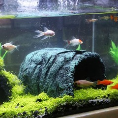 Hide Cave Aquarium Decorations-Premium Resinous Natural Hideout Fit for Aquar…