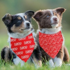 Mother’s Day Valentine’s Day Love Dog Bandana 2 Pack Dog Birthday Bandana Mot…
