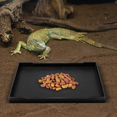 Tortoise Food Bowl Reptile Large Water Dish Turtle Feeder Plate Baby