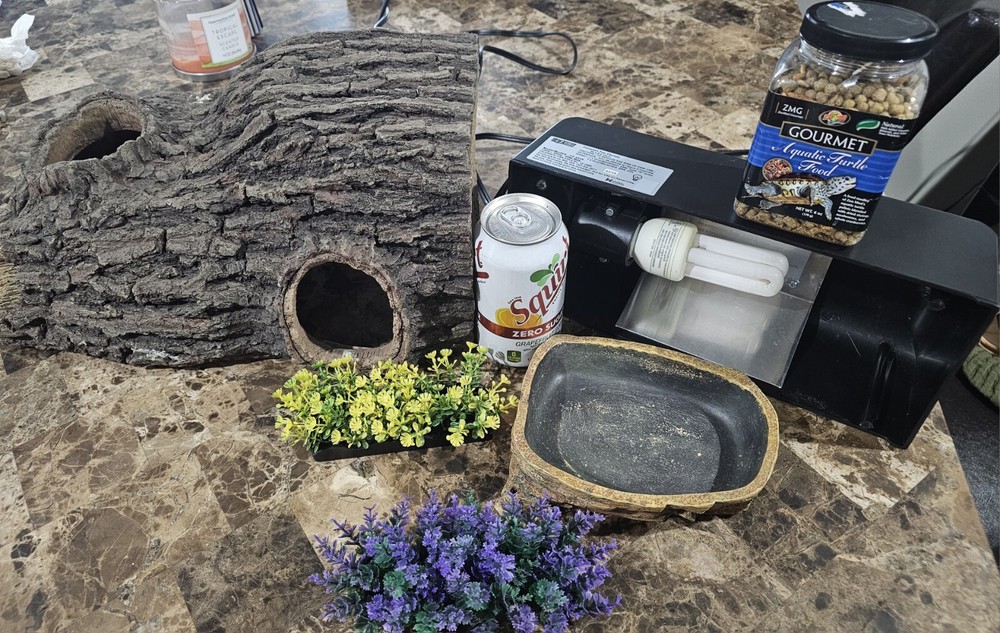 reptile supplies