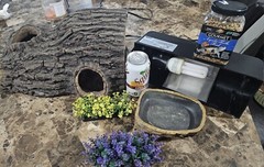 reptile supplies