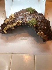 Arboreal Attitudes Weighted Ground Hides For Terrariums And Cages Large