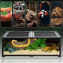 REPTIZOO 34 Gallon Glass Reptile Terrarium for Snakes, Geckos & More