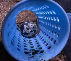 Hermit Crab Climbing Tunnel Ornament Hermit Crab Tank Decoration Toys Supplies