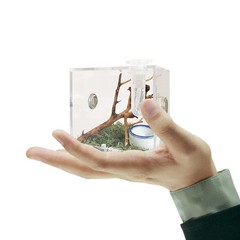 JOBEDE Jumping Spider Enclosure, Habitat with Dropper Clear