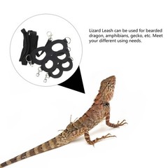Bearded Dragon Leash and Harness Set Leashes Harnesses for Dragons Lizard