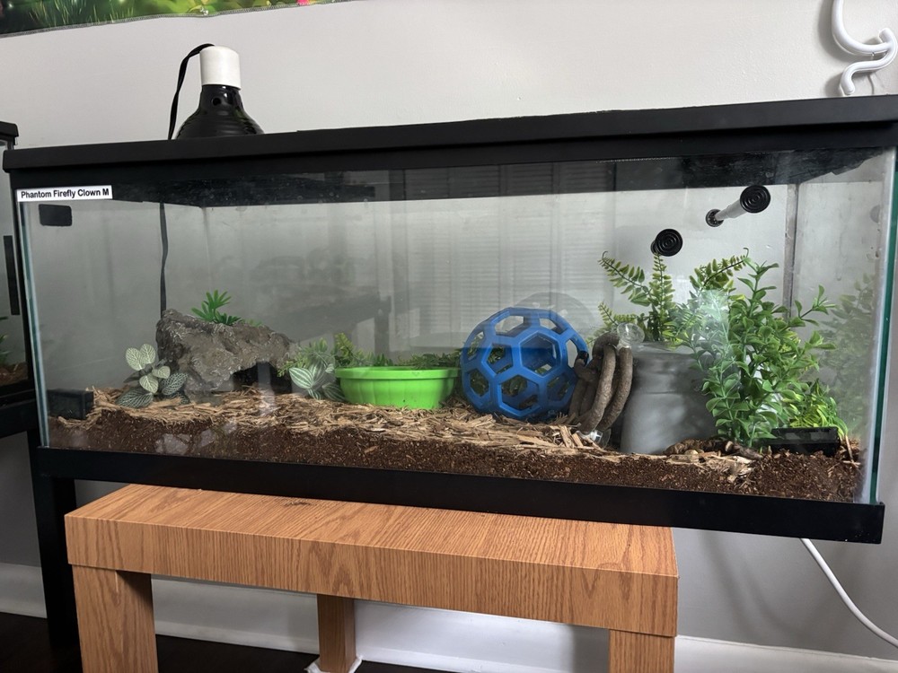 20 Gallon Long Tank