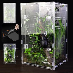 Large Acrylic Tarantula Enclosure – Easy Installation.