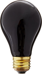 Fluker’S Incandescent Black Nightlight Bulbs for Reptiles, 100 Watt