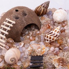 6 PCS Hermit Crab Shell 1 Coconut Hut 5 Seashell Decoration Tank Hideout Toy