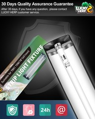T8 Reptile Light Fixture Combo Kit 15W (New Upgrade), UVB Reptile Light Fixtu…