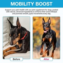 Pain Relief for Dogs, Hip Joint Glucosamine Drops for Dogs, Chondroitin Drop…