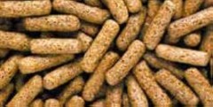 Hikari Turtle Food Probiotic Enhanced Nutrient Medium Floating Pellet 1.58-Oz.