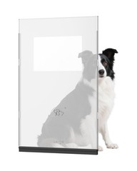 Pet Door Flap, Replacement Flap for Dog Doors and Cat Doors, Easy to Clean (L…