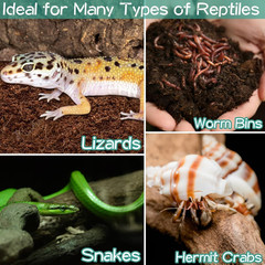 8Pack Compressed Coconut Fiber Substrate for Reptile Natural Premium Coconut Hus
