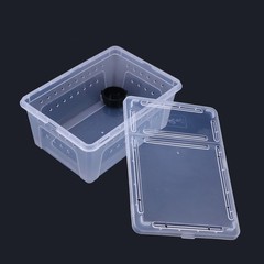 Plastic Reptile Feeding Box White Medium Capacity Case for Tortoise Gecko Spider