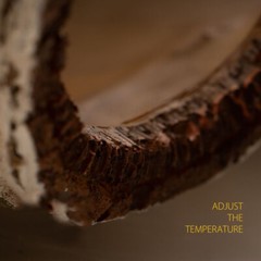 Artificial Birch Log Tortoise Small Animal Habitat Bearded Dragon Hide Cave↑