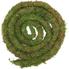 Moss Vine for Reptiles, Bendable Climbing Vines Reptile Tank Accessories, Nat…