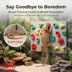 Maiguinzaa Reptile Climbing Wall 2 Set Tank Decor