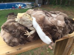 MINKY MARB FAUX FUR LRG ATTACHABLE RESTING BED SET CUDDLE COVER 4 BEARDED DRAGON