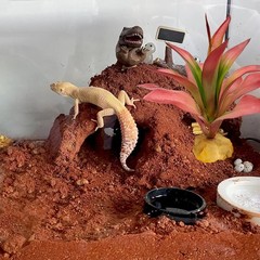 Reptile Plants Succulent Artificial Desert Plant Terrarium Decor Bearded Dragon