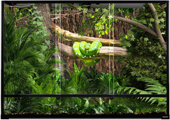 135 Gallon Reptile Glass Terrarium, 48″ X 18″ X 36″ Vertical Tempered Glass Rain