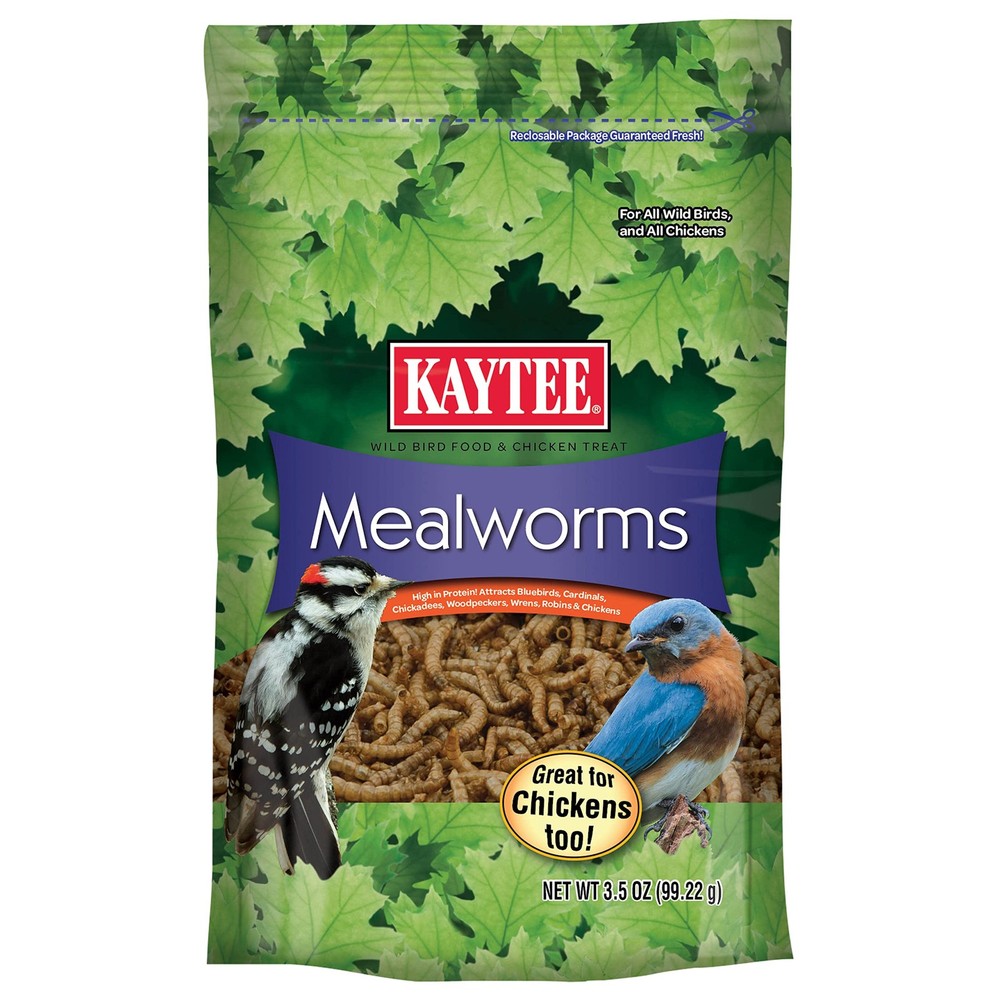 Kaytee Wild Bird Food Mealworms For Bluebirds, Wrens, 3.5 Ounce (Pack of 1)