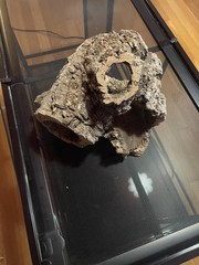 50 gallon reptizoo terrarium, good condition, 36″ x 18″ x 18″, cleaned