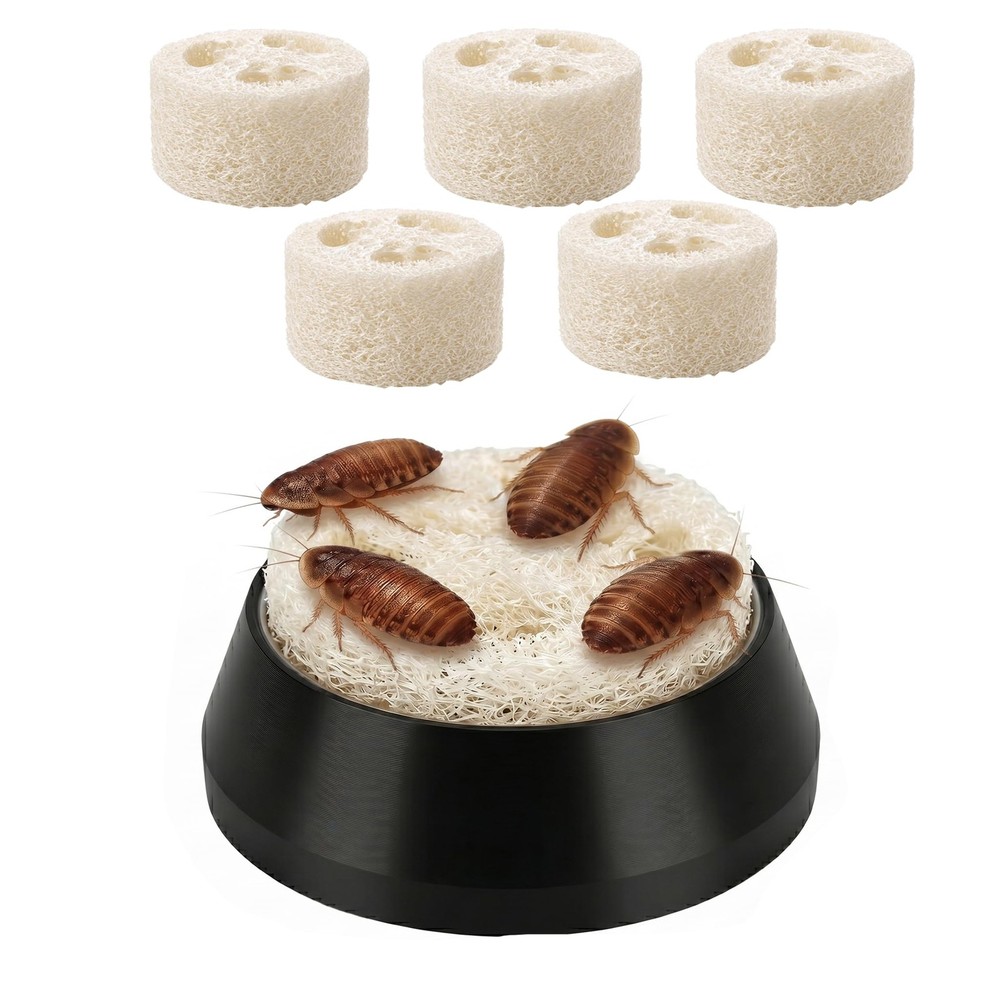 Dubia Roach Water Dish,Tiny Feeding Dish with 5 Luffa Inserts for Isopods, Sp…