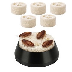 Dubia Roach Water Dish,Tiny Feeding Dish with 5 Luffa Inserts for Isopods, Sp…