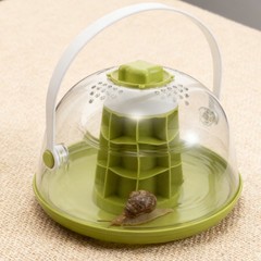 Snail Observation Warehouse Feeding Box Breeding for Snails