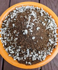 Orchid Potting Soil Mix (3 Cups / 1 Quart) 1 qt