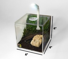 Vented Acrylic Vivarium Enclosure 4″ White Vent Small Clear Terrarium Habitat
