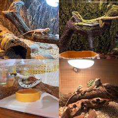 Reptile Decor 3PCS Natural Forest Branch Terrarium Habitat Decoration Lizard …