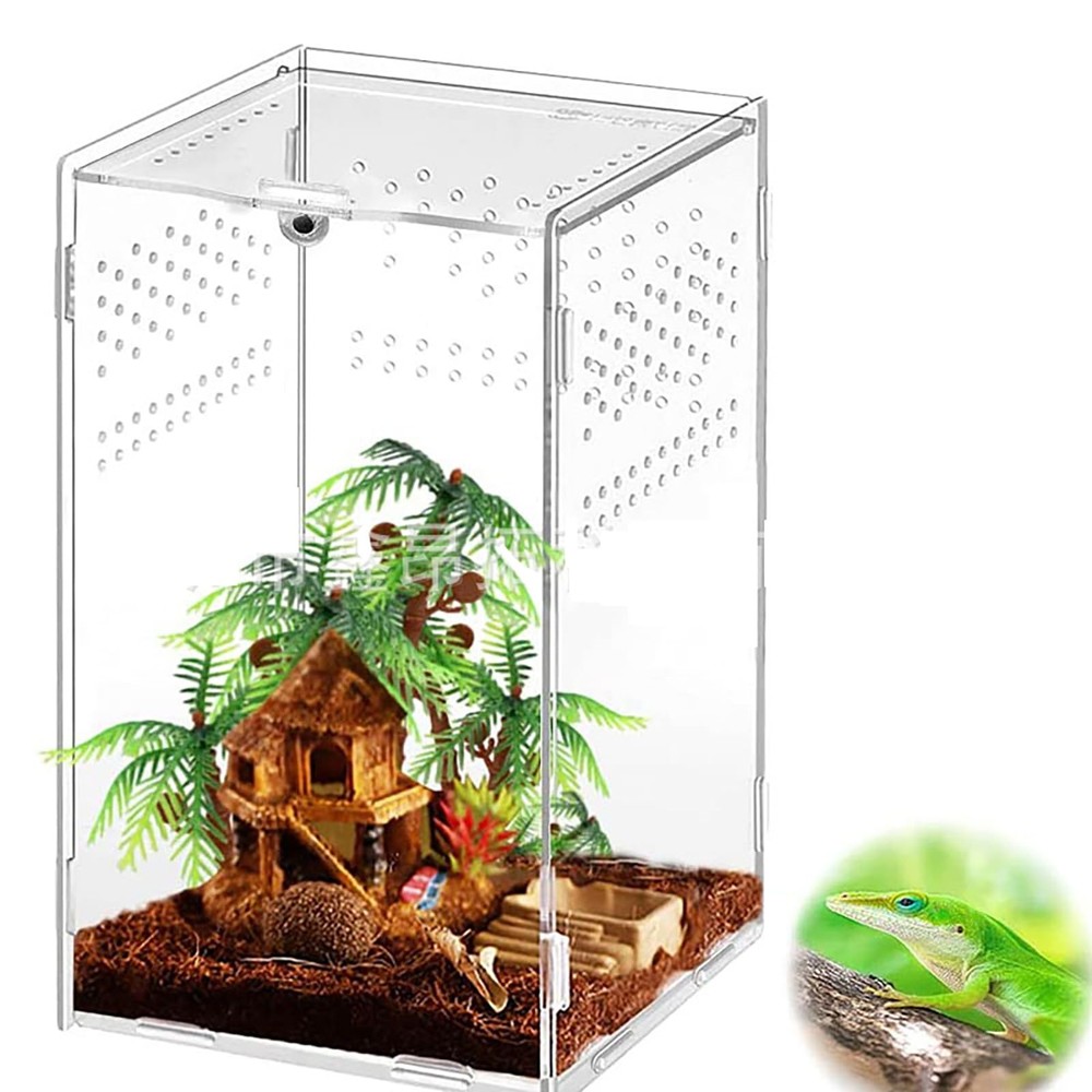 Mini Acrylic Reptile Terrarium 4.7×4.7×8 Inch Tarantula Amphibians Habitat