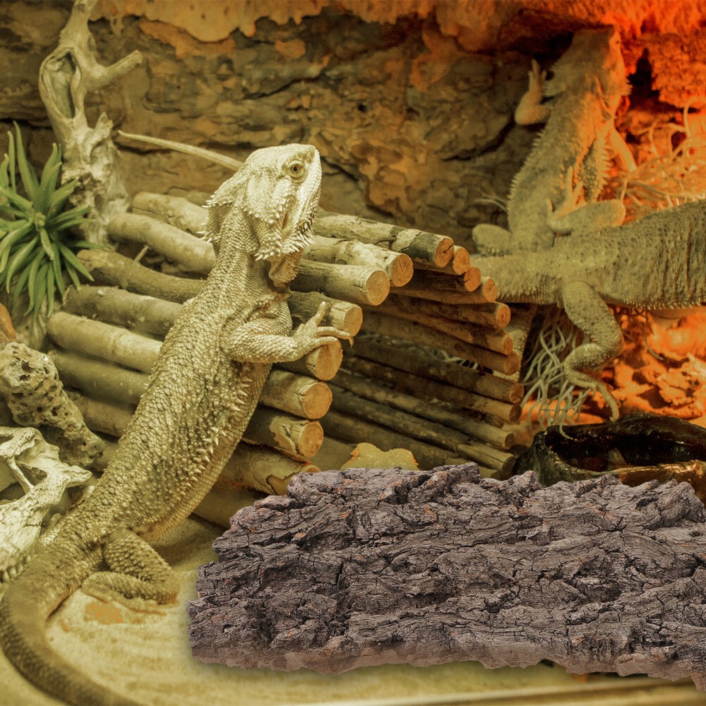 2 Pcs Climbing Bark Reptile Habitat Decor Bearded Dragon Terrarium Decoration