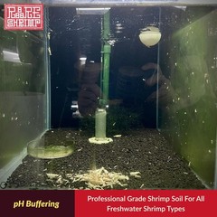 ShrimpSoil – Freshwater Shrimp & Aquatic Plant Soil | Professional Buffering …