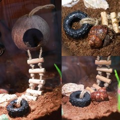 Hermit Crab Coconut Shell Hideout with Climb Ladder,Leopard Gecko Hide Hut with