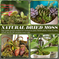 ZeeDix 8 OZ Premium Sphagnum Moss for Reptiles 8oz, 8