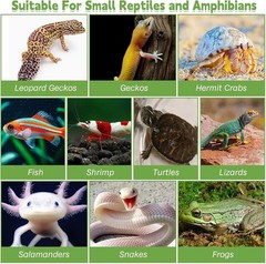 Elegant Resin Hide for Reptiles – Easy-Clean Basking Dock for Healthy Living