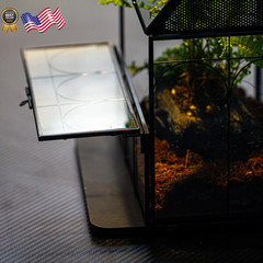 Glass Enclosure w/ Vent Holes for Insect Jumping Spiders Snails – 7.5″ xx 4.9″